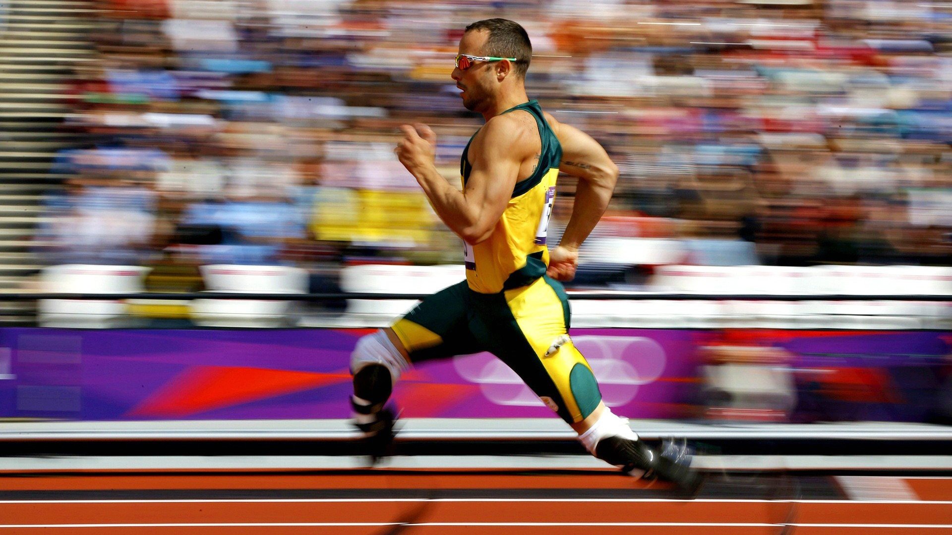 “尼古拉斯·桑特基：阿根廷美洲狮队的灵魂人物，未来值得期待”