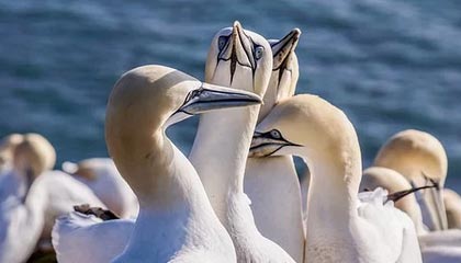 爱游戏电竞-体育新闻中心推动体育赛事数据加密与安全技术研发，体育数据新闻案例